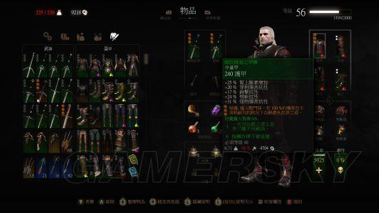 巫师3颜值最高的套装,巫师3师匠级套装大全