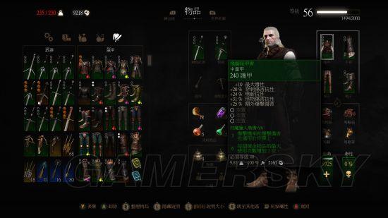 巫师3颜值最高的套装,巫师3师匠级套装大全