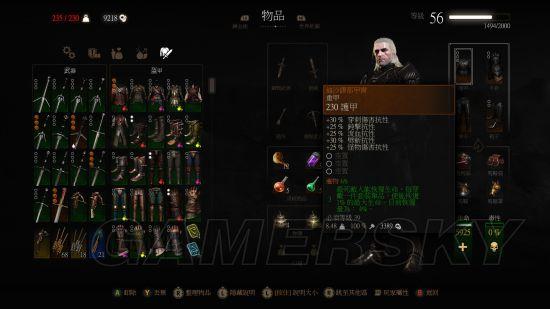 巫师3颜值最高的套装,巫师3师匠级套装大全