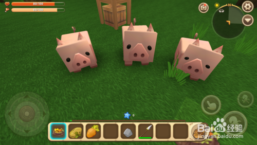 迷你世界驯服猪的小技巧，迷你世界里面的猪该怎么驯服？