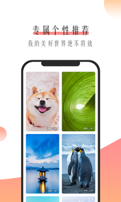 米柚壁纸app4