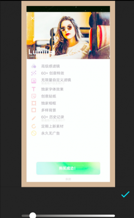 Lumii照片编辑器2