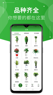 绿植到家1