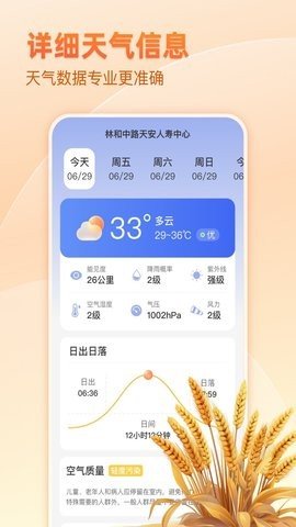 麦穗天气3