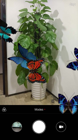 蝴蝶在手机飞舞app2