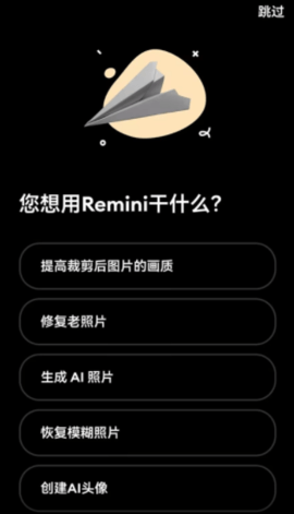 Remini2