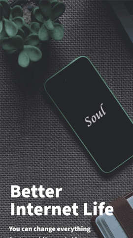 soul浏览器1