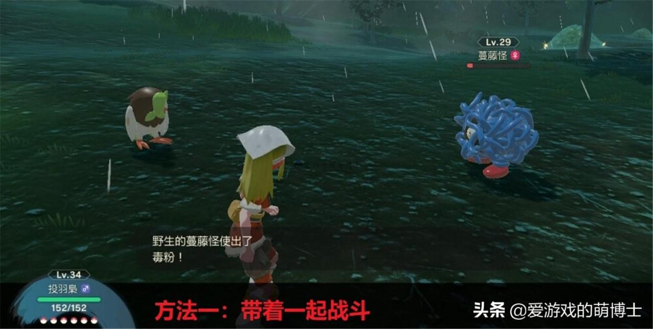 精灵宝可梦亲密度怎么看?精灵宝可梦亲密度系统简析