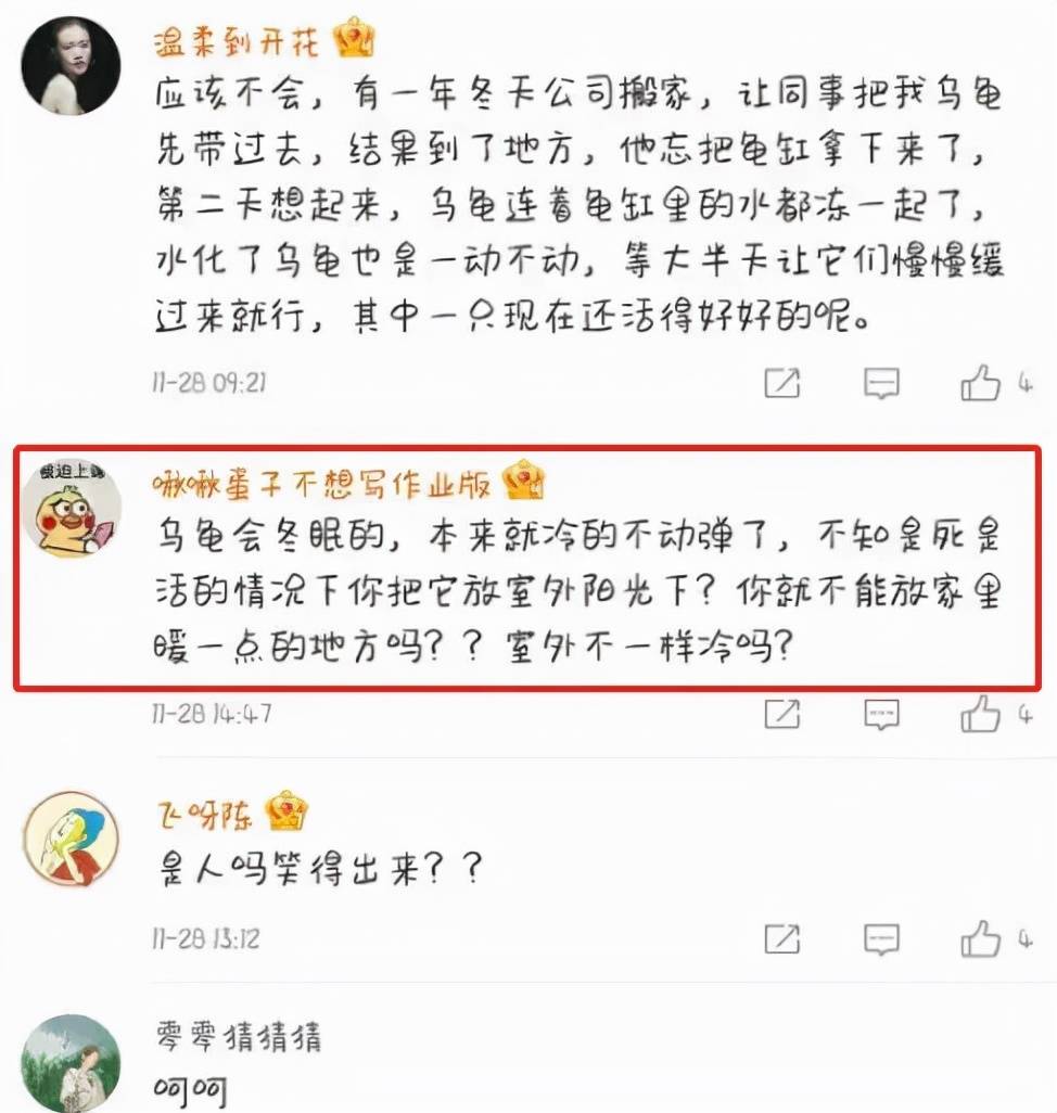 乌龟从湖南快递到东北冻成乌龟干，也希望快递公司和卖家能够长点心