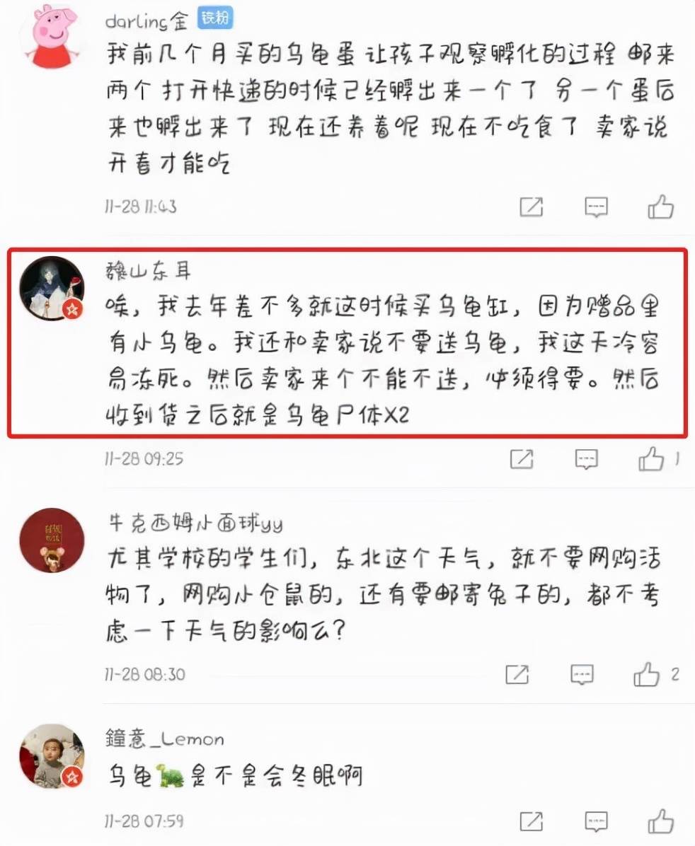 乌龟从湖南快递到东北冻成乌龟干，也希望快递公司和卖家能够长点心